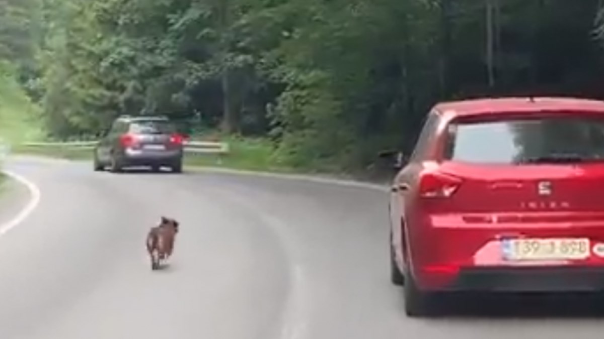 Izbacili su ga iz auta u središnjoj BiH. Trčao je za njima, ali ih nije stigao